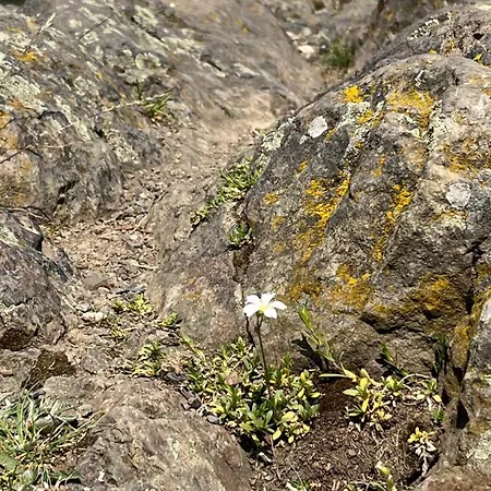 Appartamento Richard Zittau