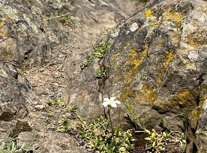 Apartment Richard Zittau